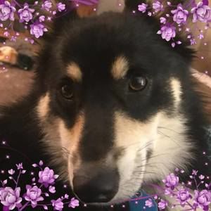 Meet your Posher, Mona